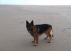 vakantie Ameland 2015 003